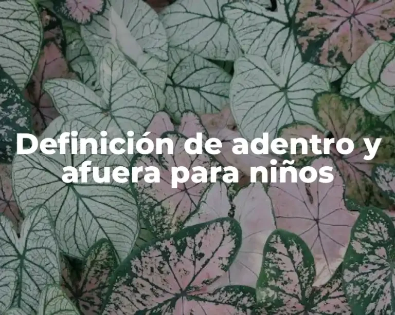 Definición de adentro y afuera para niños