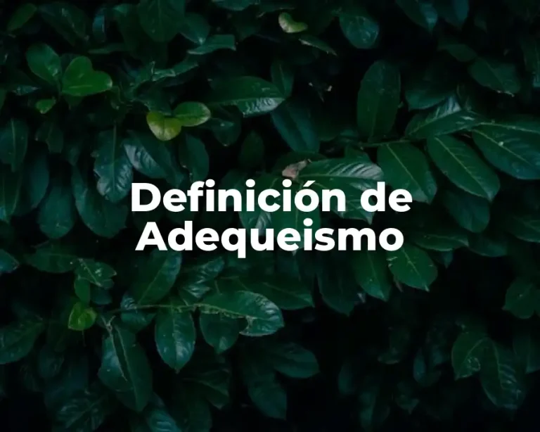 Definición de Adequeismo
