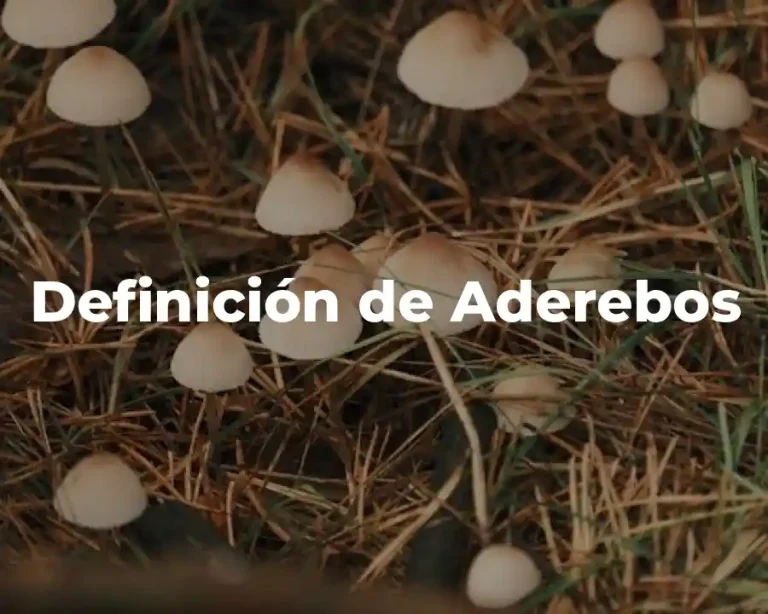 Definición de Aderebos