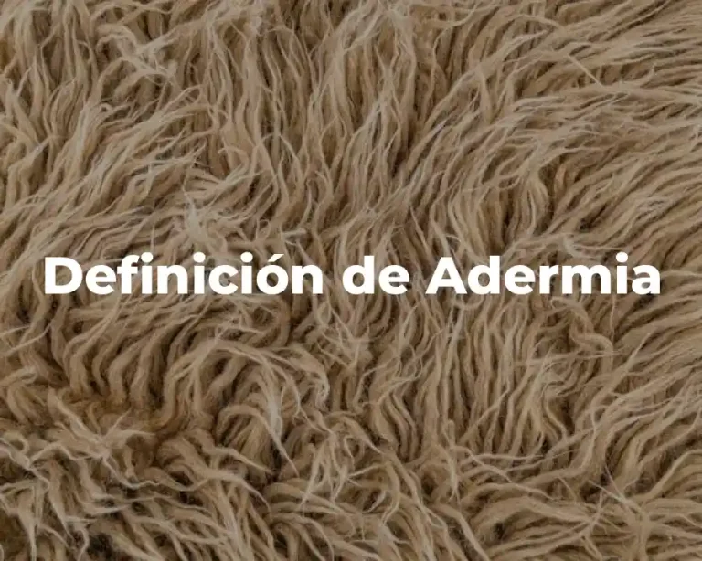Definición de Adermia