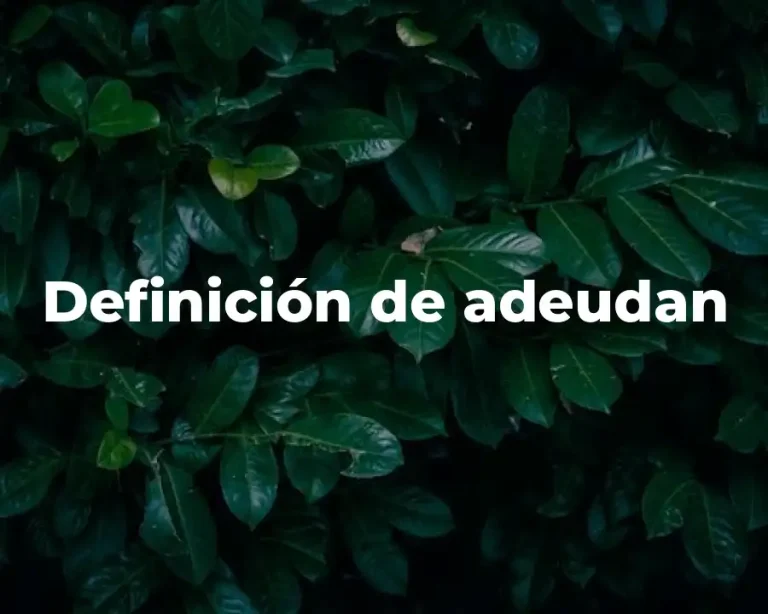 Definición de adeudan