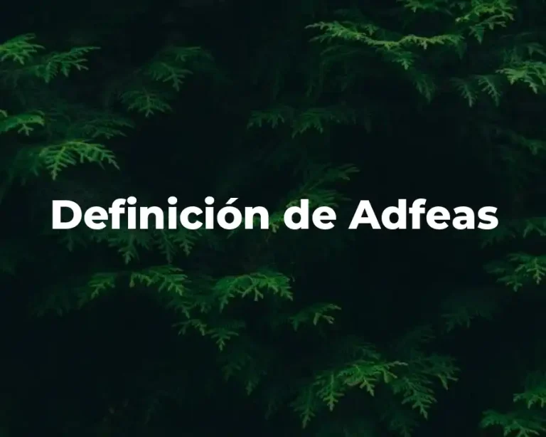 Definición de Adfeas