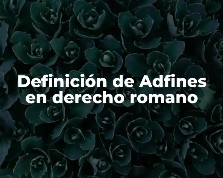 Definición de Adfines en derecho romano
