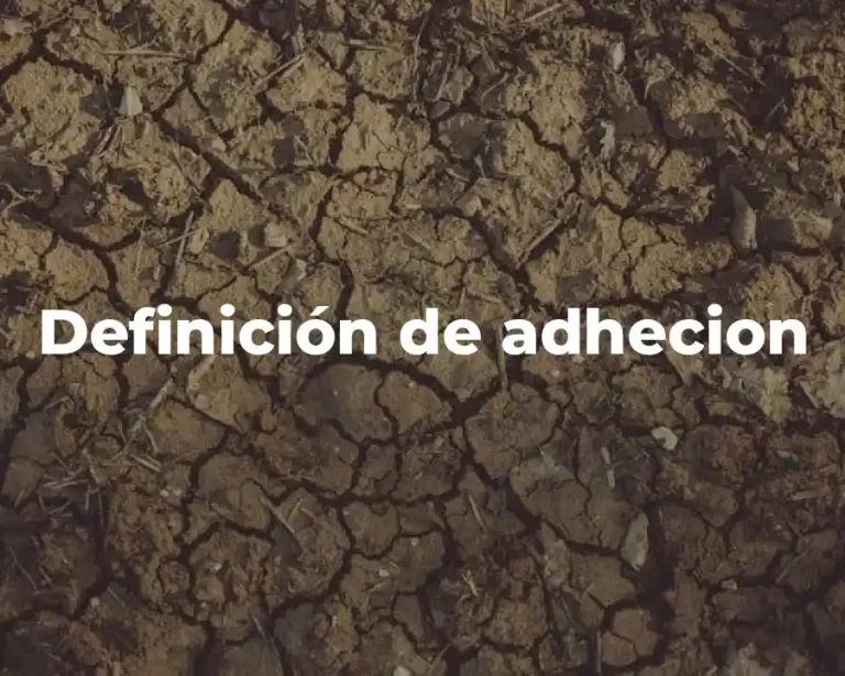 Definición de adhecion
