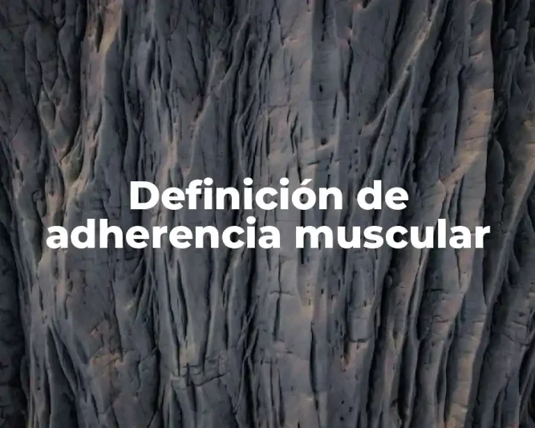 Definición de adherencia muscular
