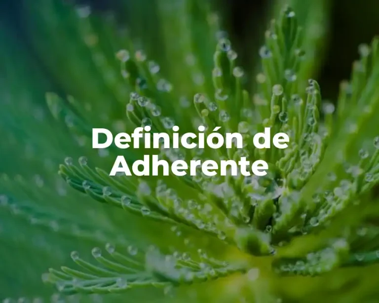 Definición de Adherente