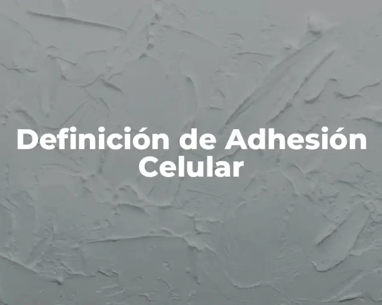 Definición de Adhesión Celular
