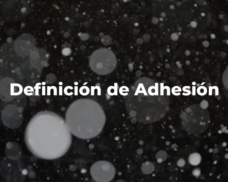 Definición de Adhesión