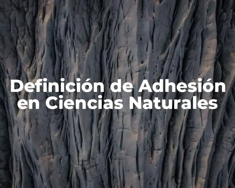 Definición de Adhesión en Ciencias Naturales