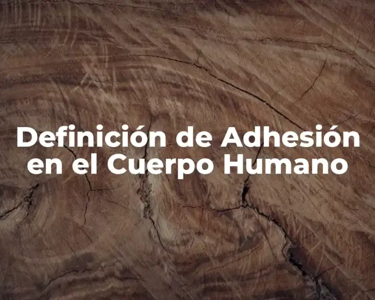 Definición de Adhesión en el Cuerpo Humano