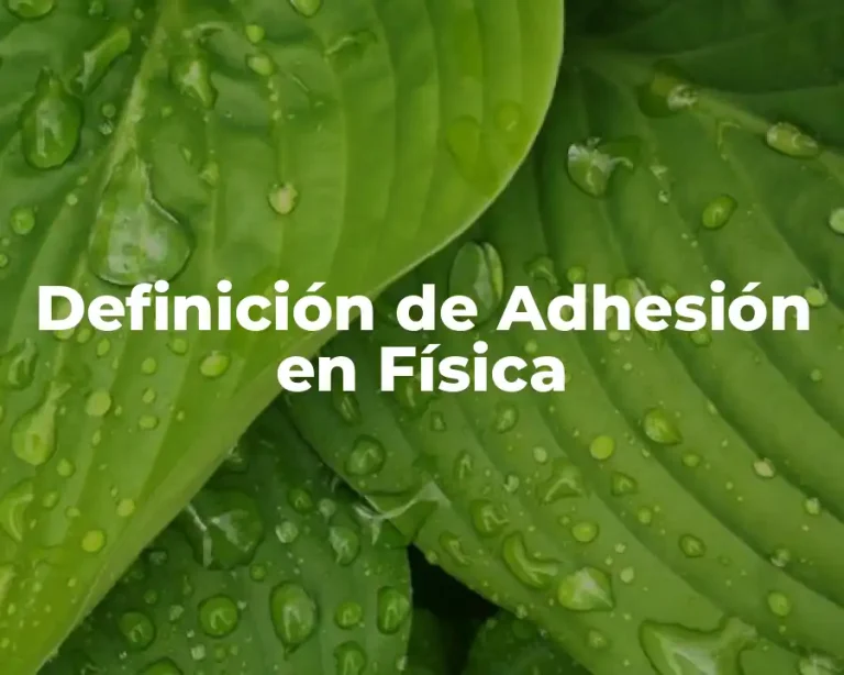 Definición de Adhesión en Física