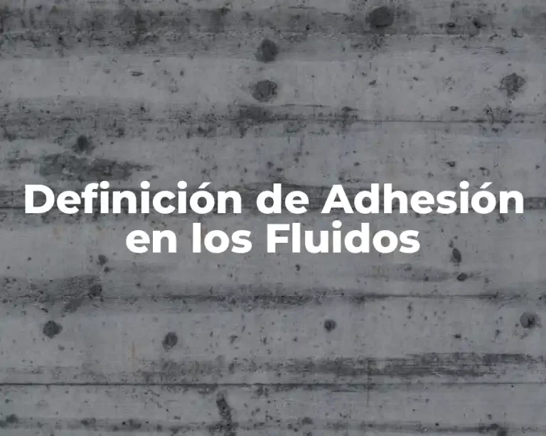 Definición de Adhesión en los Fluidos