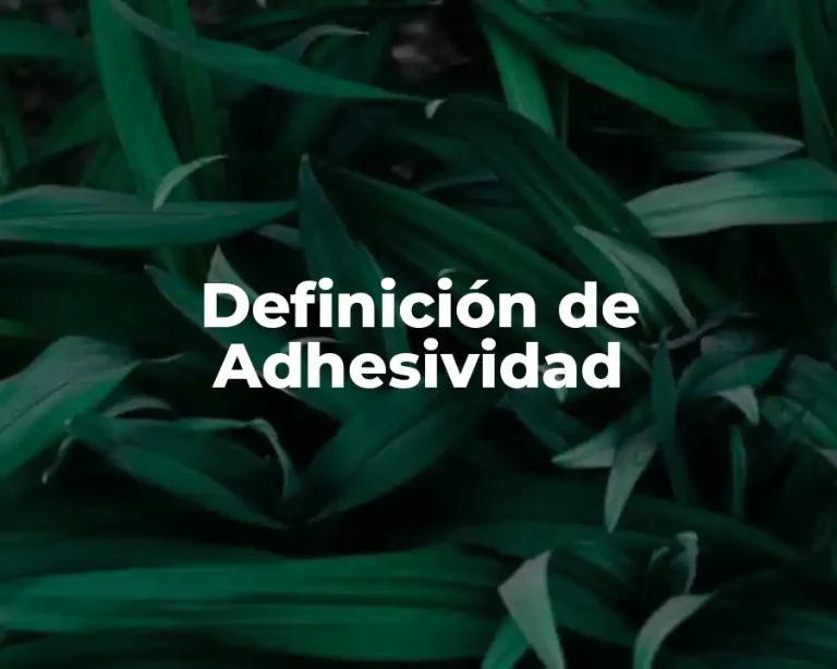 Definición de Adhesividad