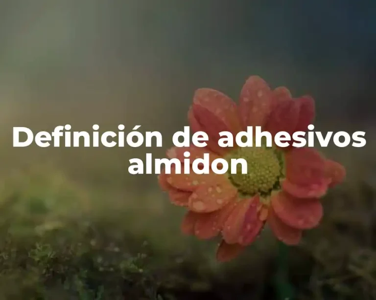 Definición de adhesivos almidon