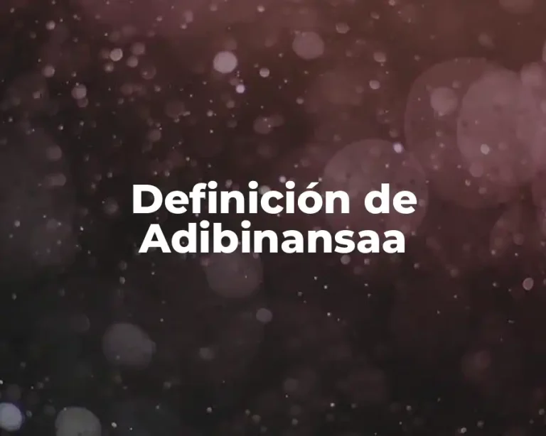 Definición de Adibinansaa