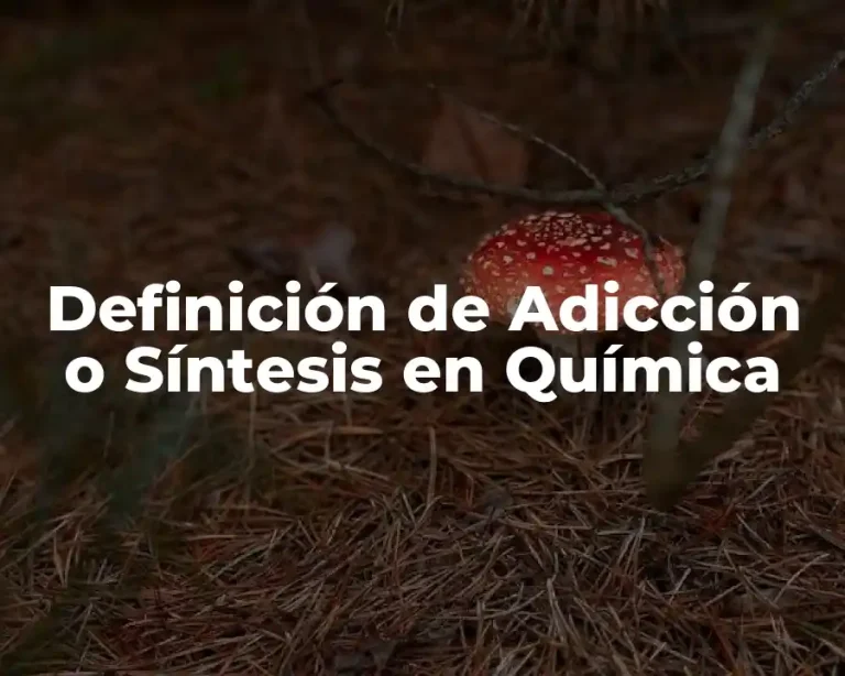 Definición de Adicción o Síntesis en Química