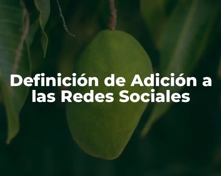 Definición de Adición a las Redes Sociales