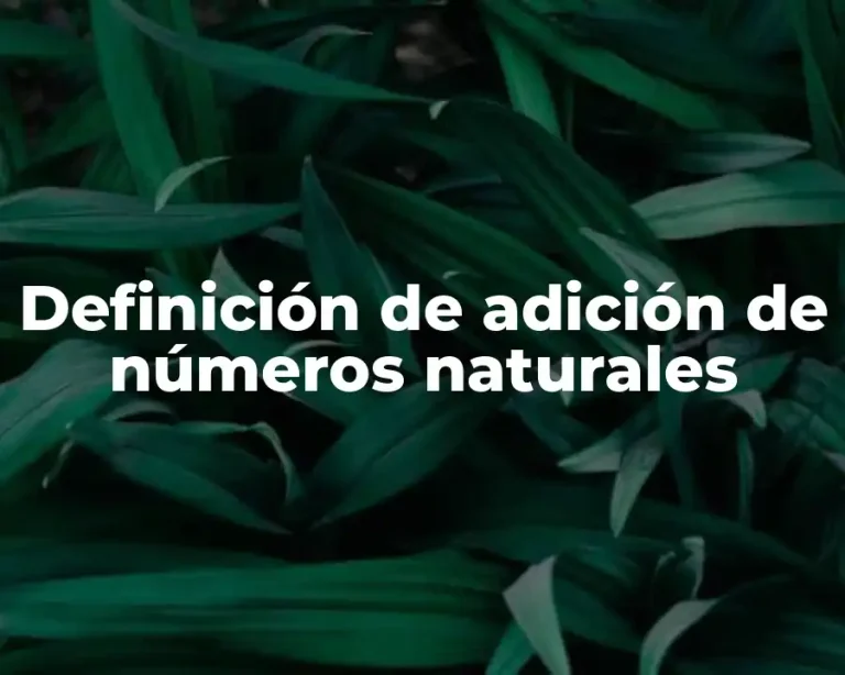 Definición de adición de números naturales
