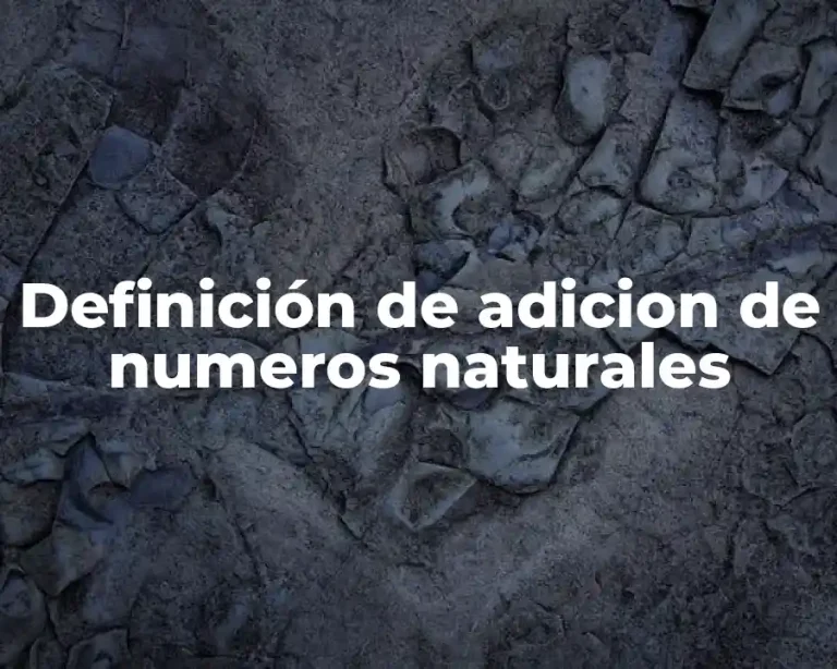 Definición de adicion de numeros naturales