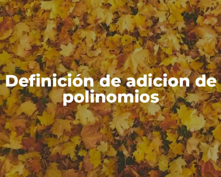 Definición de adicion de polinomios