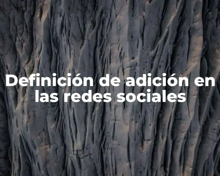 Definición de adición en las redes sociales