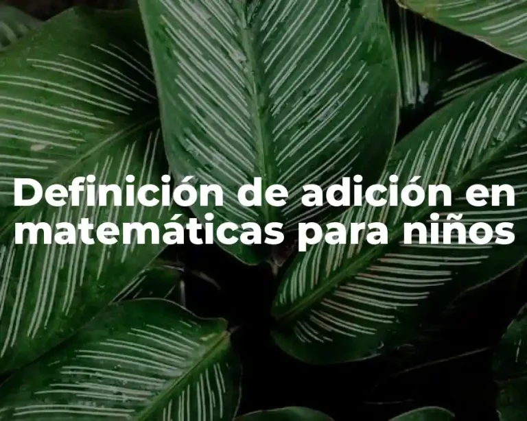 Definición de adición en matemáticas para niños
