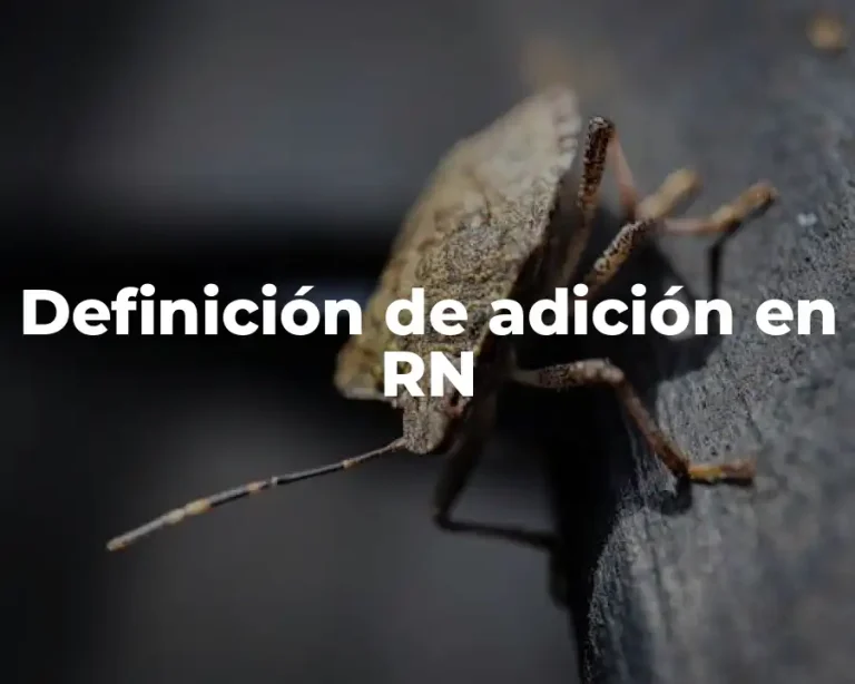 Definición de adición en RN