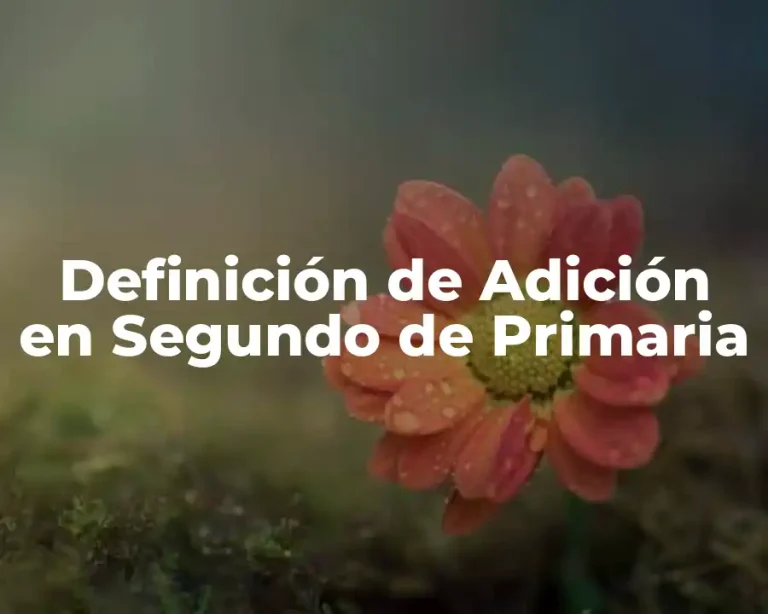 Definición de Adición en Segundo de Primaria