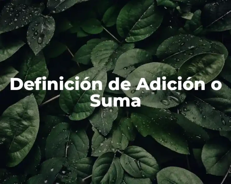 Definición de Adición o Suma