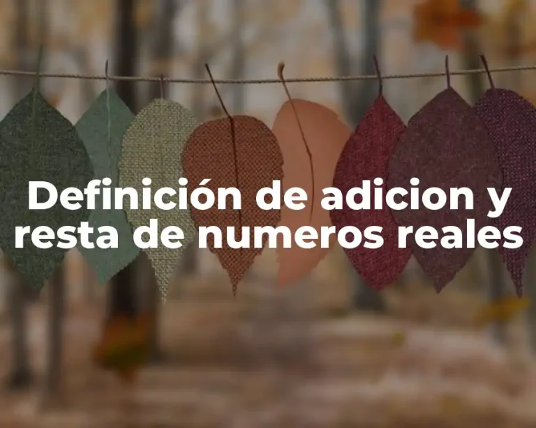 Definición de adicion y resta de numeros reales