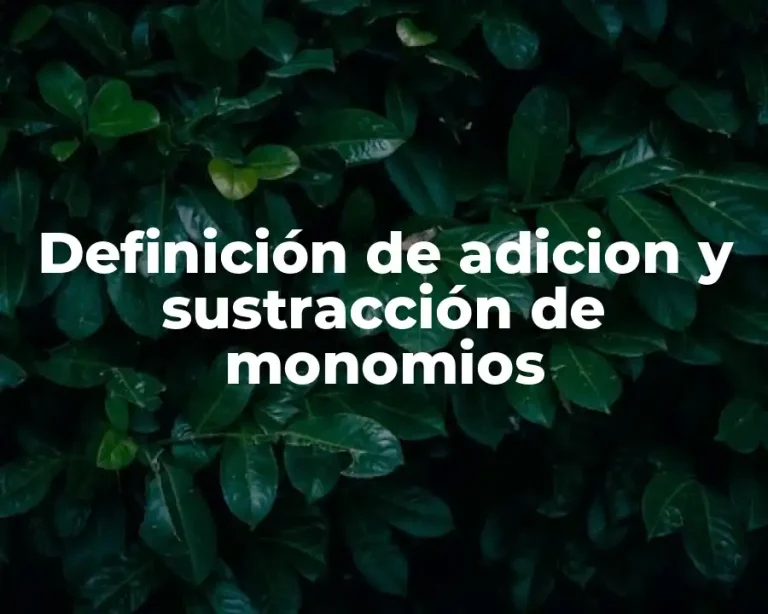 Definición de adicion y sustracción de monomios