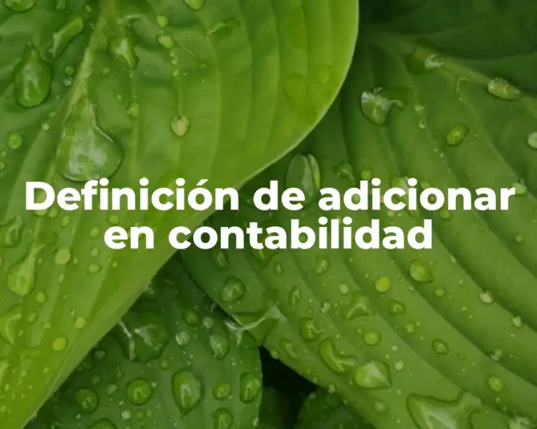 Definición de adicionar en contabilidad