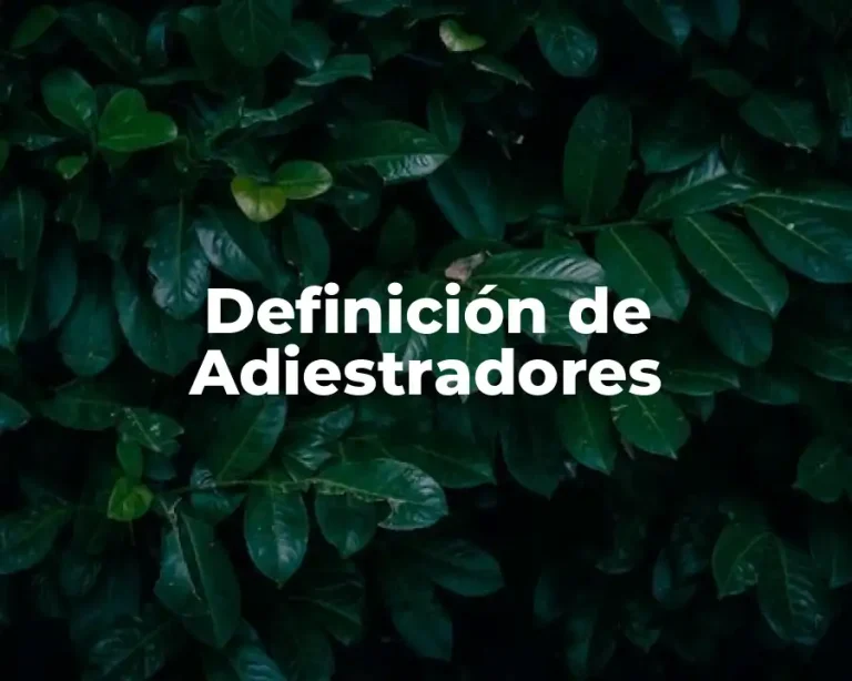 Definición de Adiestradores