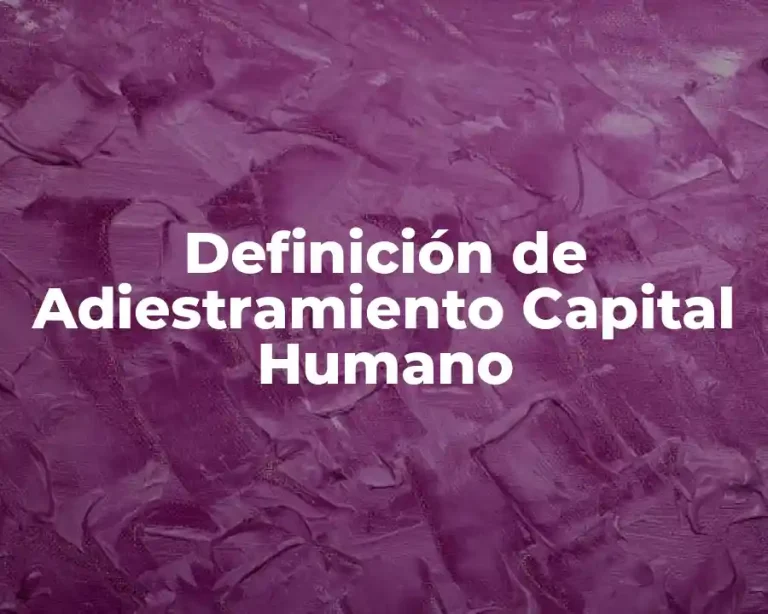 Definición de Adiestramiento Capital Humano