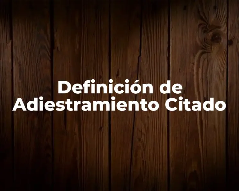 Definición de Adiestramiento Citado