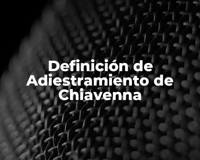 Definición de Adiestramiento de Chiavenna