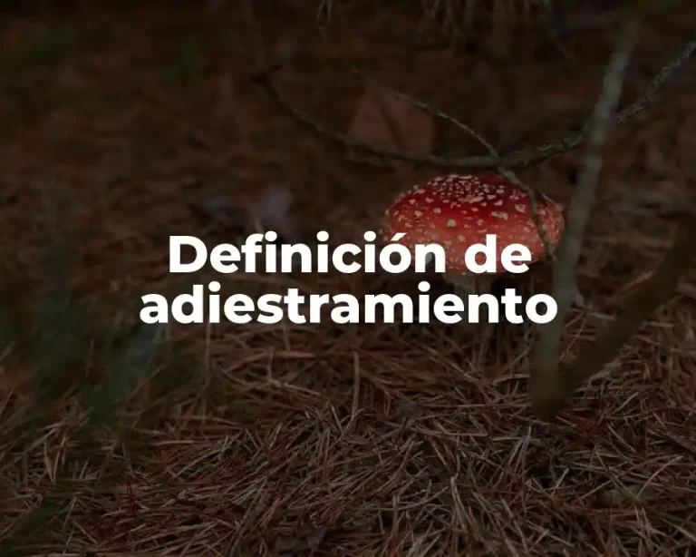 Definición de adiestramiento