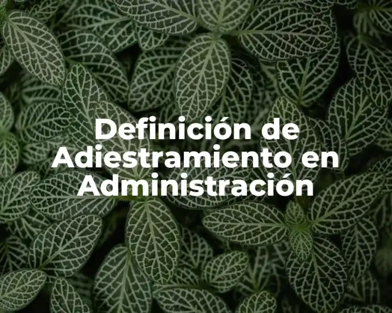 Definición de Adiestramiento en Administración