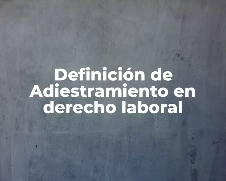 Definición de Adiestramiento en derecho laboral