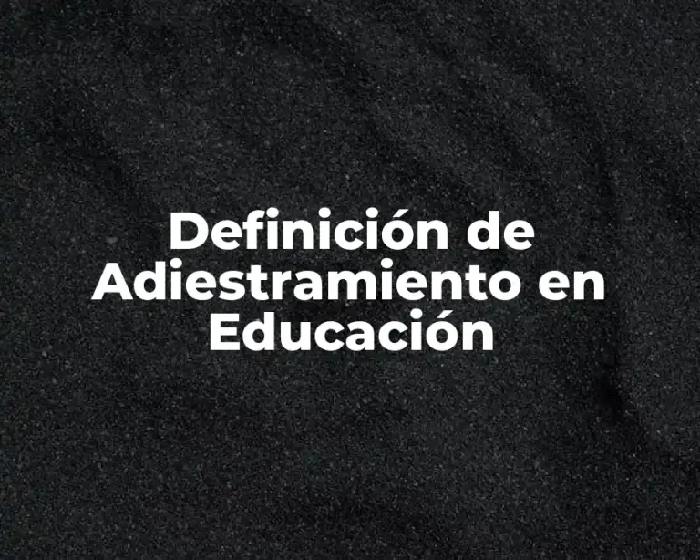 Definición de Adiestramiento en Educación