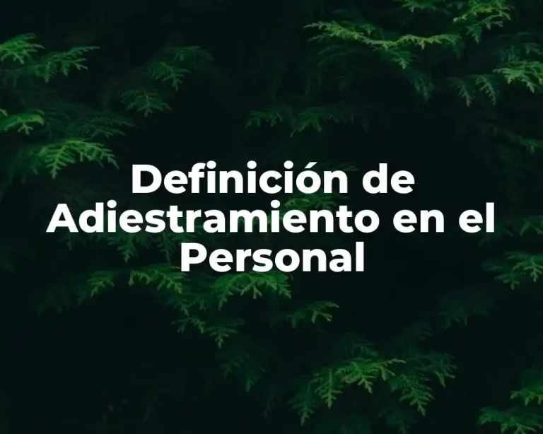 Definición de Adiestramiento en el Personal