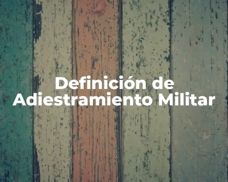 Definición de Adiestramiento Militar