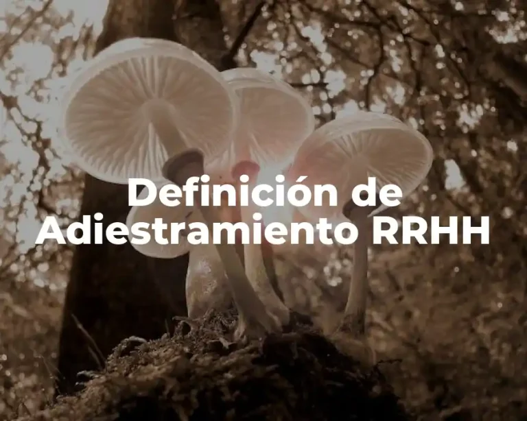 Definición de Adiestramiento RRHH