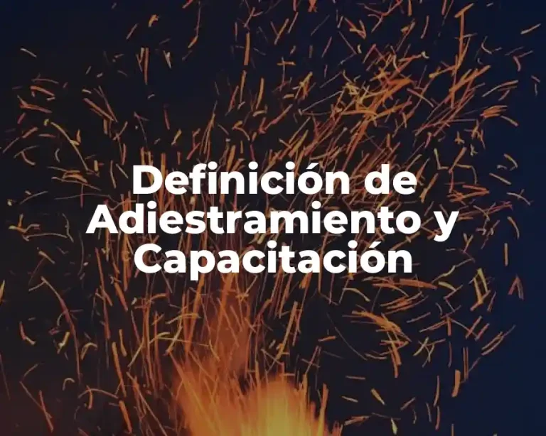 Definición de Adiestramiento y Capacitación