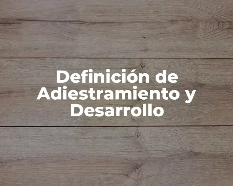 Definición de Adiestramiento y Desarrollo