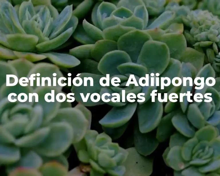 Definición de Adiipongo con dos vocales fuertes