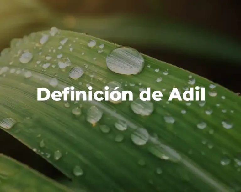 Definición de Adil
