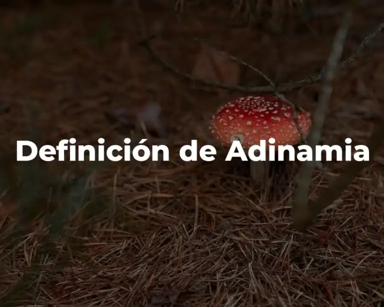 Definición de Adinamia