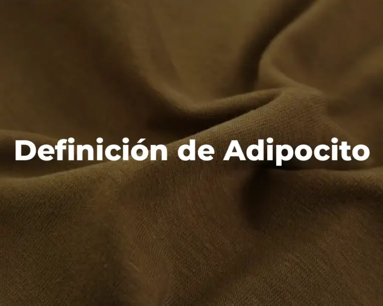 Definición de Adipocito