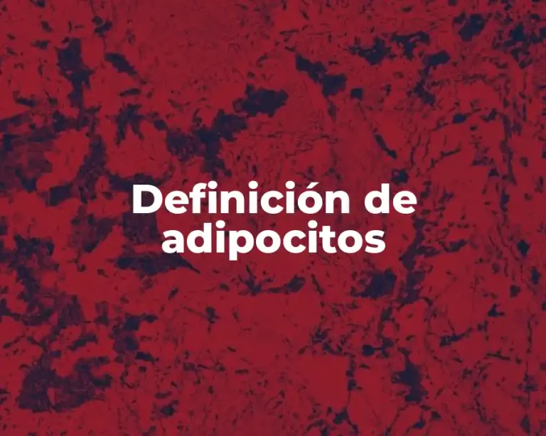 Definición de adipocitos